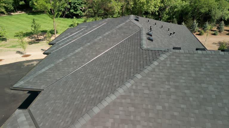 Best Roof Moss and Algae Removal  in Twin Lake, MI