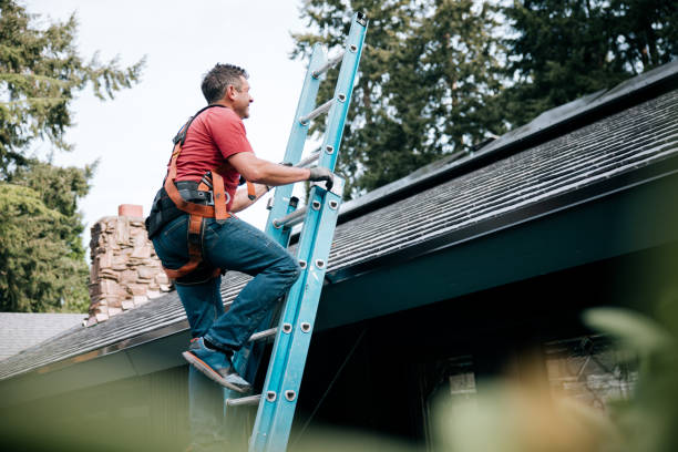 Best Metal Roofing Installation  in Twin Lake, MI