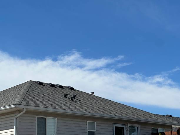 Best Chimney Flashing Repair  in Twin Lake, MI