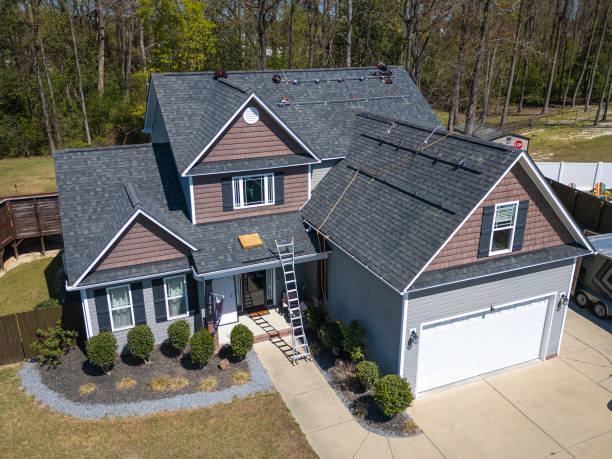 Best Asphalt Shingle Roofing  in Twin Lake, MI